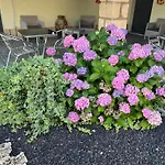 Vakantieboerderij Su Tasuru *
