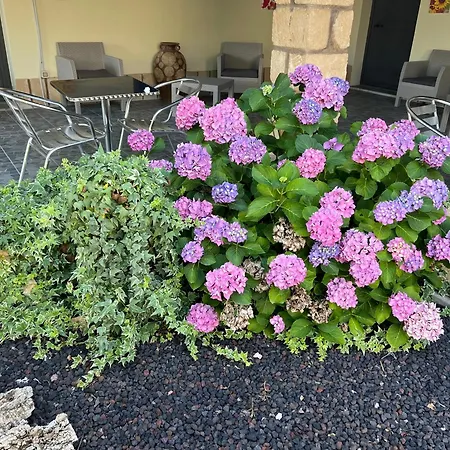 Vakantieboerderij Su Tasuru *